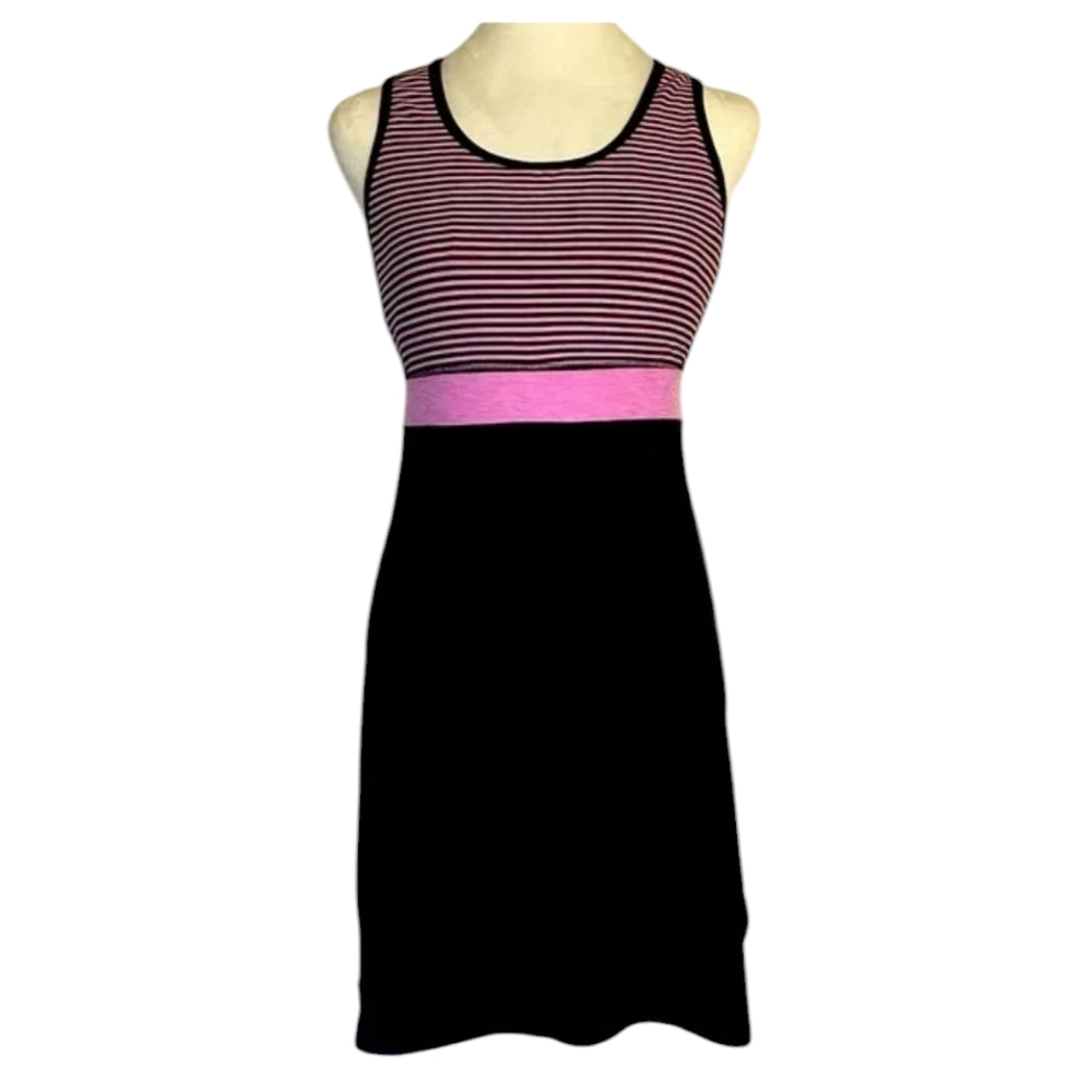 Title Nine Connelly Painted Stripe dress